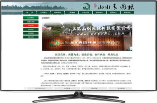 奉賢企業數字化轉型全攻略 從網站建設到通訊服務一站式解決方案