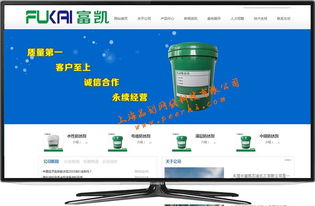 松江長期企業(yè)網(wǎng)站服務(wù) 專業(yè)設(shè)計、無憂維護與托管解決方案